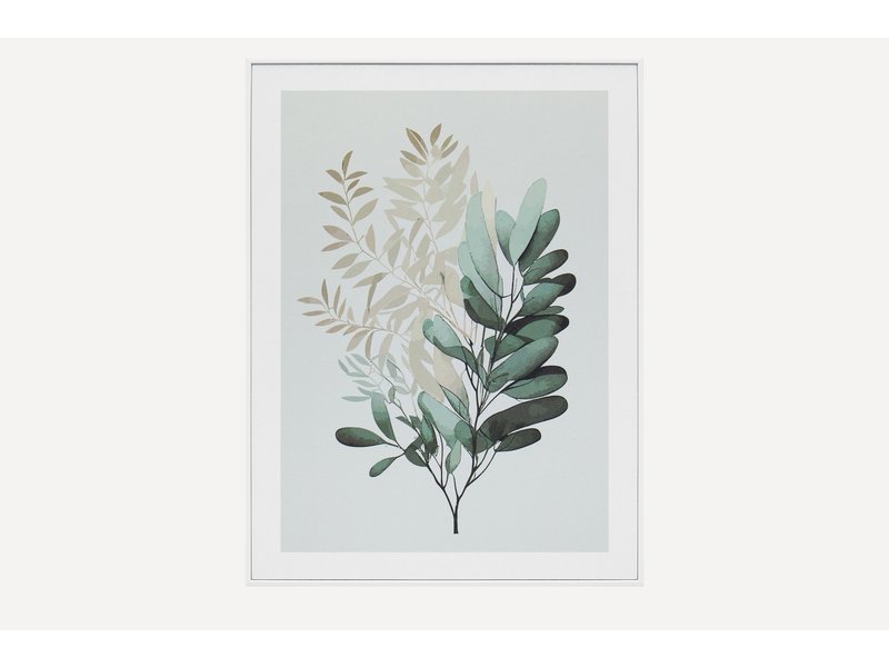 Картина Ботаник Листья 30x40