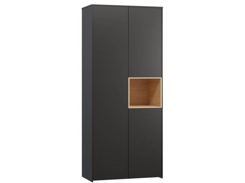 Распашной шкаф Висмар 2-103x240 Графитовый